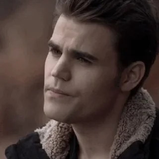 Sticker from ※Stefan Salvatore ※ @MikealsonsFamily ※