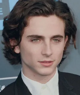 👀 emoji Timothée Chalamet Telegram sticker 2 of 28