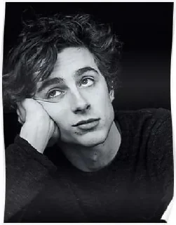 🧐 emoji Timothée Chalamet Telegram sticker 6 of 28