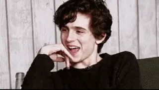 🤭 emoji Timothée Chalamet Telegram sticker 16 of 28