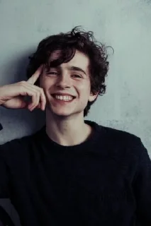 😃 emoji Timothée Chalamet Telegram sticker 11 of 28