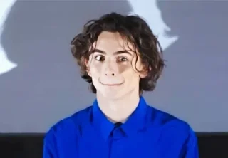 🥴 emoji Timothée Chalamet Telegram sticker 9 of 28