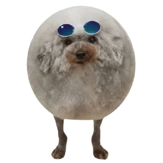 😎 emoji $ROUND Telegram sticker 20 of 21