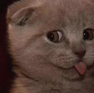 😝 emoji V0iD's Stickers X Telegram sticker 1 of 120