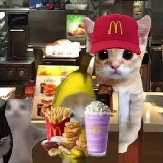 🐛 emoji Catwifmcdonaldshat Solana Telegram sticker 8 of 10