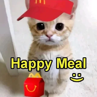 Sticker from Catwifmcdonaldshat Solana