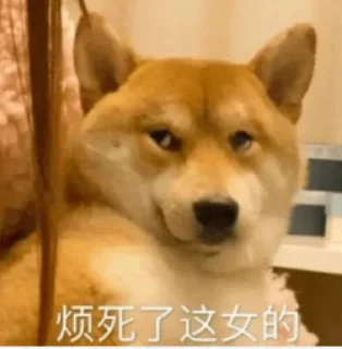 Sticker from 玩体育做代理找我 @xlong1