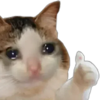 👍 emoji استیکر های بدون پس‌زمینه 2 |  @KabirakBot Telegram sticker 5 of 81