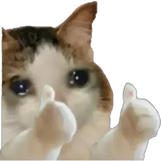 👍 emoji استیکر های بدون پس‌زمینه 2 |  @KabirakBot Telegram sticker 6 of 81