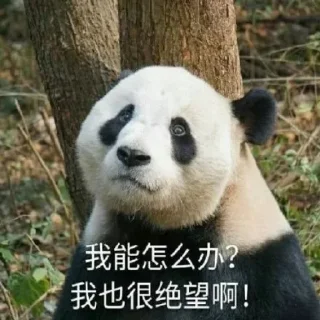 🤣 emoji @amgzs07 银图官方🤮 Telegram sticker 8 of 36