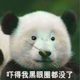 🤣 emoji @amgzs07 银图官方🤮 Telegram sticker 13 of 36