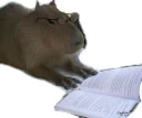 Sticker from Capybara