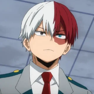 Sticker from (@Tengen) Shouto Season 6