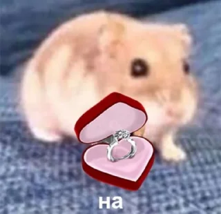 💍 emoji pee pee < @longroadtohell > Telegram sticker 11 of 50
