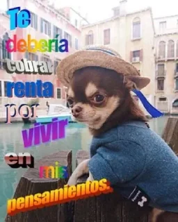 😏 emoji Sergi Rata Telegram sticker 14 of 105