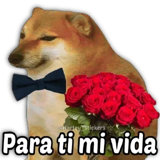❤️ emoji Sergi Rata Telegram sticker 22 of 105