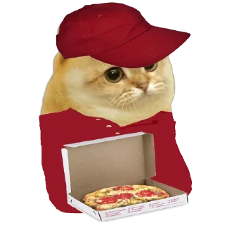 🍕 emoji Cate The Cat Telegram sticker 8 of 58