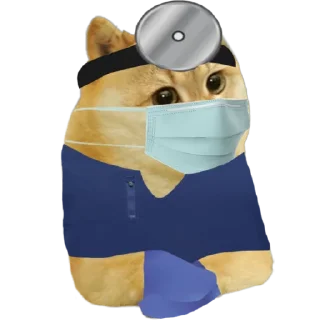 🧑‍🔬 emoji Cate The Cat Telegram sticker 11 of 58