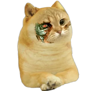 👩‍🚀 emoji Cate The Cat Telegram sticker 18 of 58