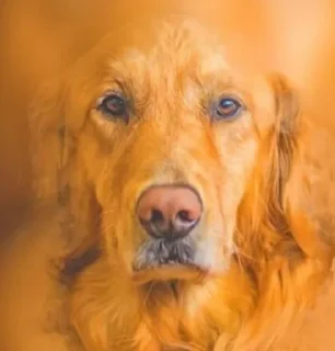 😐 emoji God 2 @SharedNewFolder Telegram sticker 18 of 25