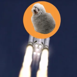 🚀 emoji $ROUND Telegram sticker 13 of 21