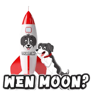 😎 emoji 2d collie_1 Telegram sticker 17 of 17