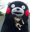 🐈 emoji Kumamon by @Torton Telegram sticker 7 of 79
