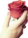 🌹 emoji @Loveoops_art : Flowers2 Telegram sticker 15 of 120