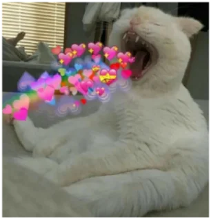 😋 emoji Cats Telegram sticker 16 of 120