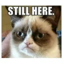 😑 emoji Grumpy cat😻🖕🏿 by@Queenmalik Telegram sticker 20 of 36
