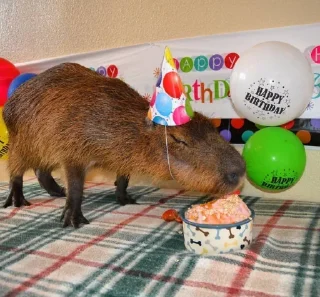 🎂 emoji Femboy Capybaras Telegram sticker 24 of 48
