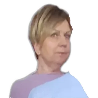 🌟 emoji Чебурек Telegram sticker 13 of 38