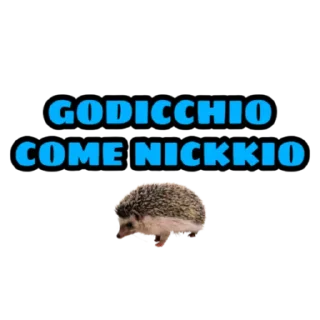 🦔 emoji GRUPPO ABBONATI GIUSE360 Telegram sticker 18 of 27