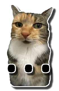 😺 emoji Zaza Stickers by @Zapadxslavia Telegram sticker 20 of 20