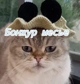 Sticker from Лёлик💗💖💘