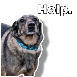 😬 emoji Krawacik Others Telegram sticker 13 of 29
