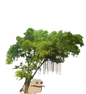🐸 emoji Bare Pepe's @EL_CARLEONE @MEHDI_HANNIBAL Telegram sticker 23 of 117