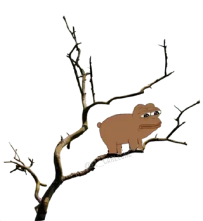 🐸 emoji Bare Pepe's @EL_CARLEONE @MEHDI_HANNIBAL Telegram sticker 22 of 117