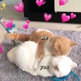 ❤️ emoji Me&you Telegram sticker 5 of 61