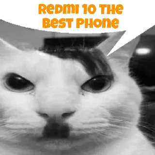 Sticker from Redmi 10 Talks & Roms Sticker Pack