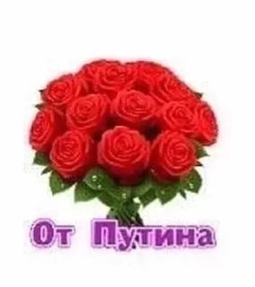 🌹 emoji Почему я стал такой гнидой? Telegram sticker 9 of 52