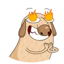 🤩 emoji Diggy animated All Telegram sticker 6 of 50