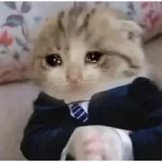 🥺 emoji حاج کریم پک Telegram sticker 6 of 120