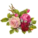 🌹 emoji @loveoops 🎀 پاپیون 🎀 Telegram sticker 10 of 120