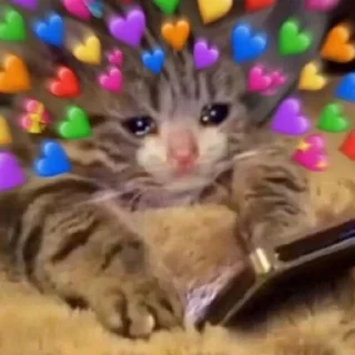 ❤️ emoji Wholesome Cats Telegram sticker 19 of 49