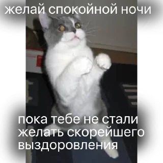 👿 emoji всё хорошо Telegram sticker 24 of 97