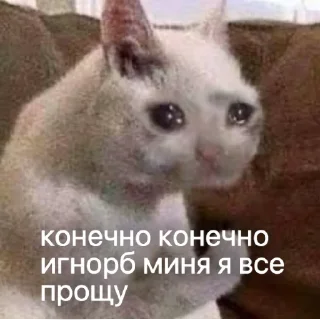 🙂 emoji всё хорошо Telegram sticker 23 of 97