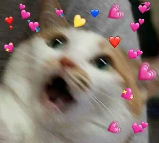 Sticker from Cute kittens