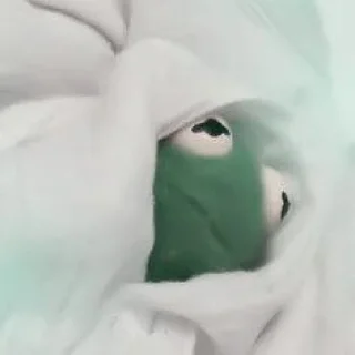 🐸 emoji [🐸] ;; kermit ;; @lumicore_present Telegram sticker 8 of 35