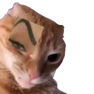Sticker from cursed